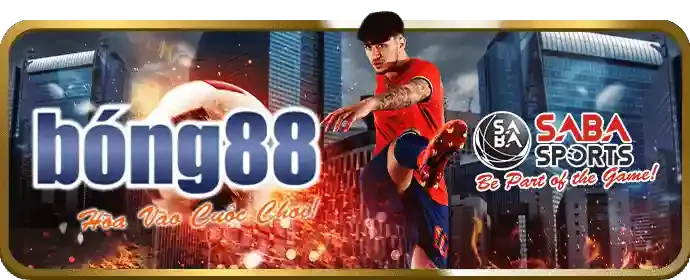 Đa dạng môn thể thao tại ok9 nổ hũ